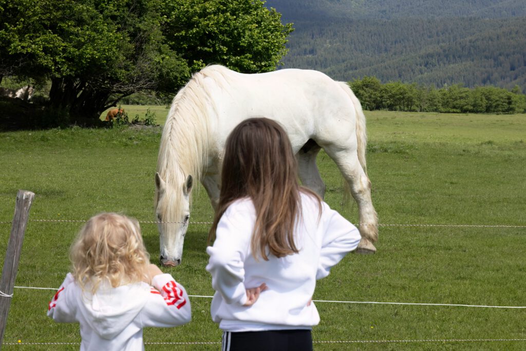 Kindergeschichten mit Tieren zwei Mädchen mit einem Pferd 