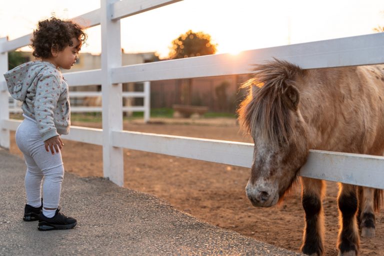 Kindergeschichten mit Pferden Kind mit Pferd