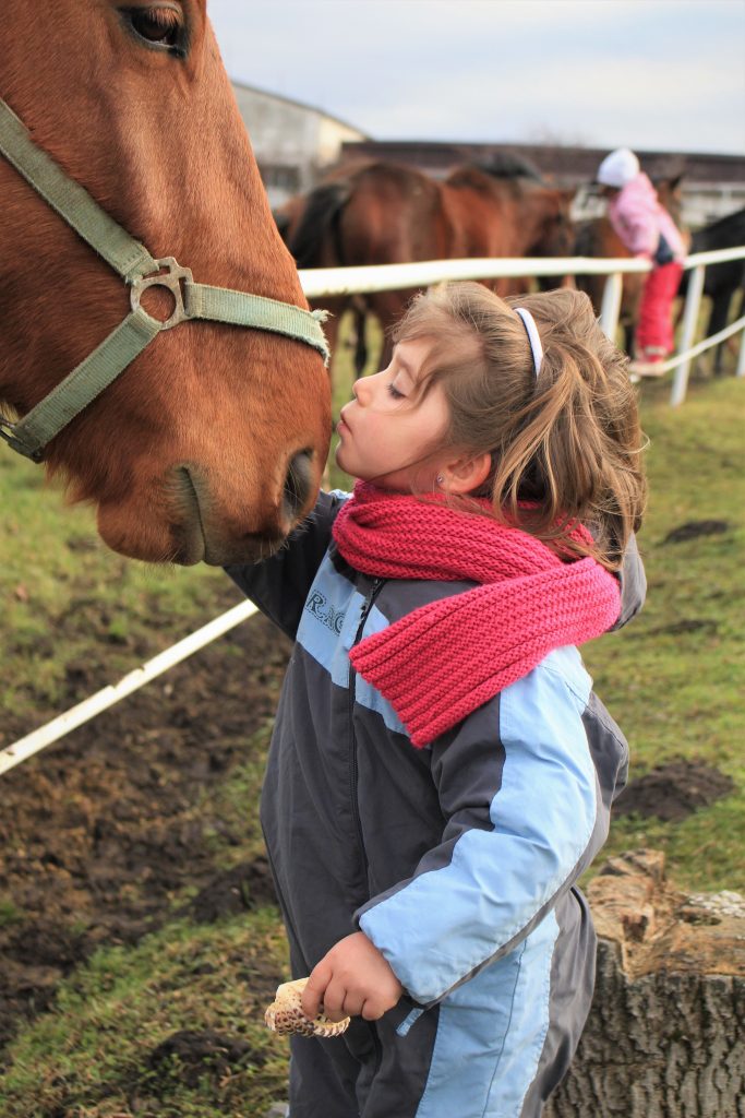 Kindergeschichte Bauernhof Mädchen küsst Pferd
