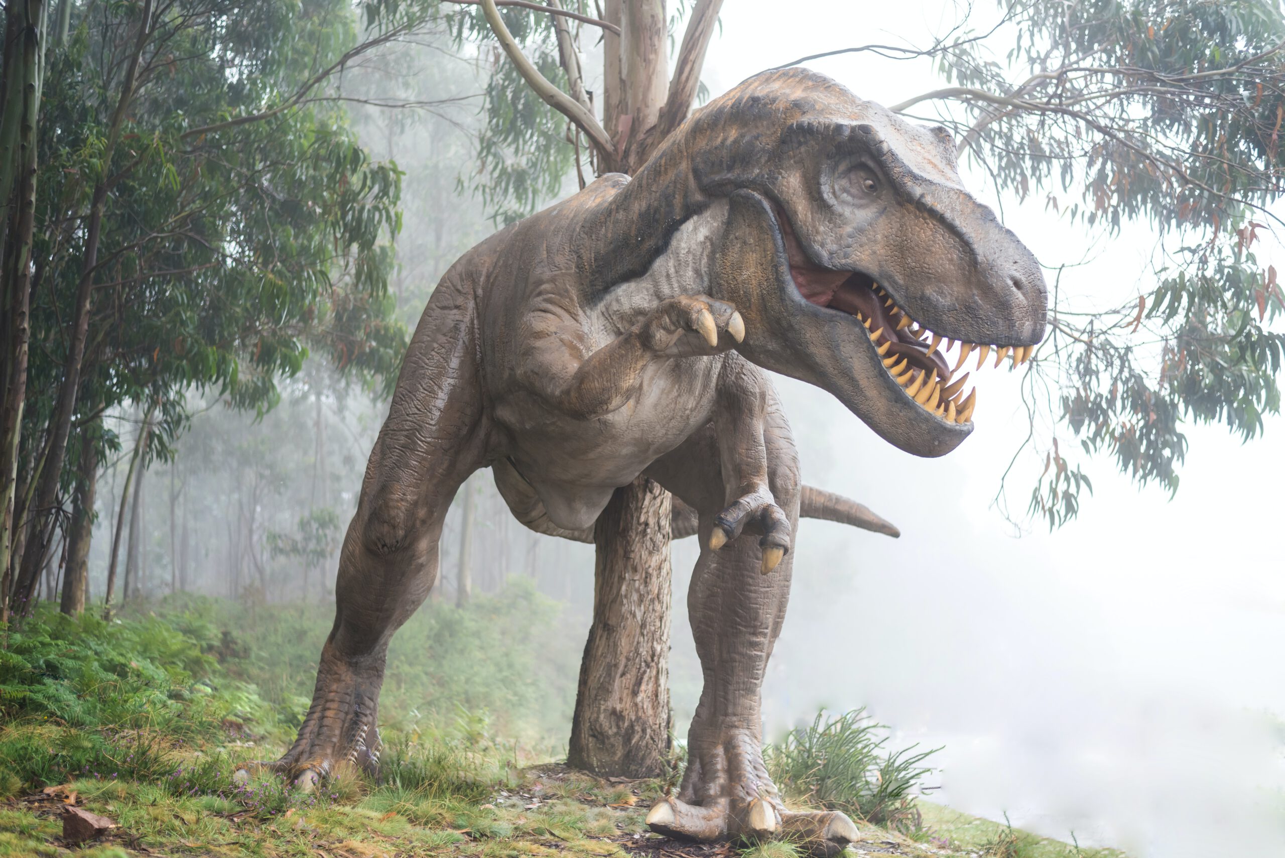 Kindergeschichte Dinosaurier T-Rex