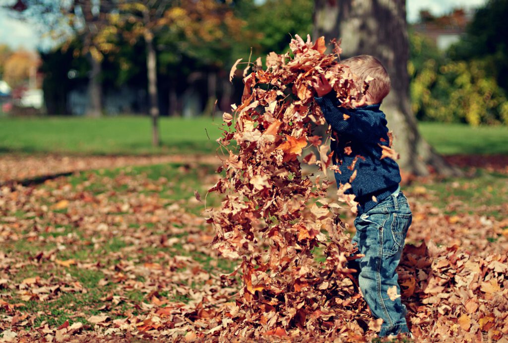 Kindergeschichte Herbst Junge im Laub