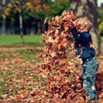 Kindergeschichte Herbst Junge im Laub