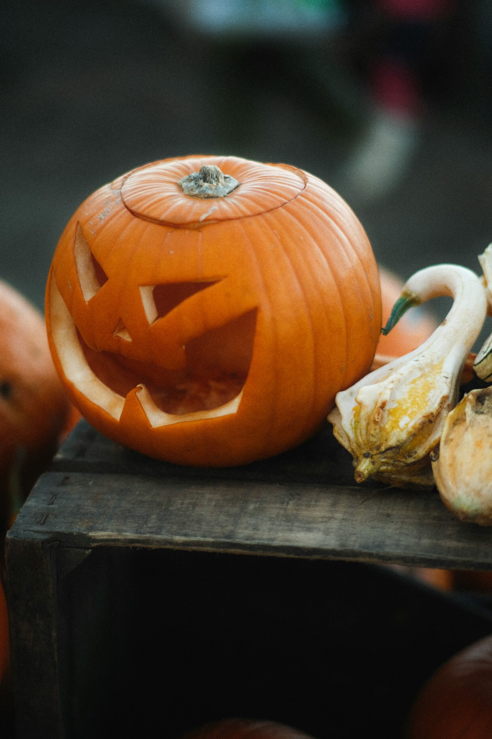 Gruselige Halloween Geschichte für Kinder Kürbis gruselig