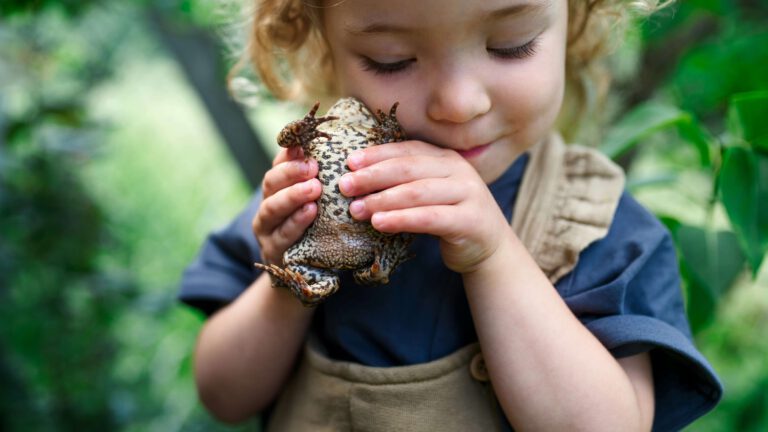Kindergeschichten mit Tieren Mädchen mit Frosch
